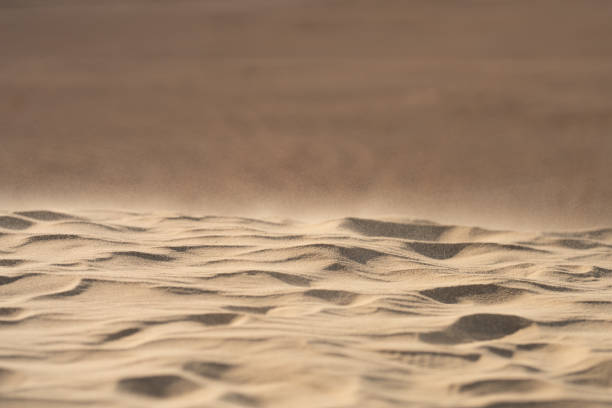 istock motor racing - desert rally - sahara - Tunisia 1365574204
