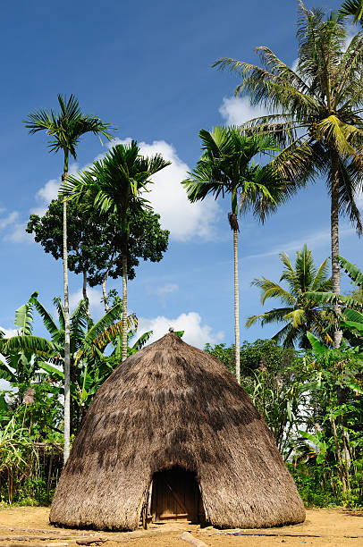 istock Indonesia, Timor, Head hunter village 136557424