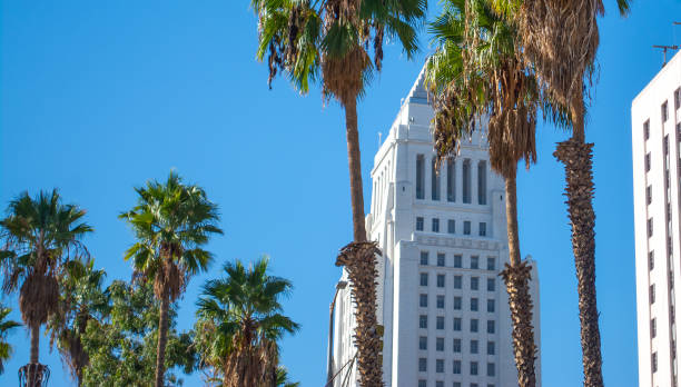 пальмы с мэрией лос-анджелеса на заднем плане - los angeles city hall стоковые фото и изображения