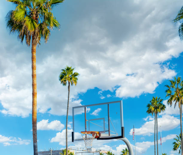 basketballkorb und palmen in venice beach unter bewölktem himmel - basketball basketball hoop california southern california stock-fotos und bilder