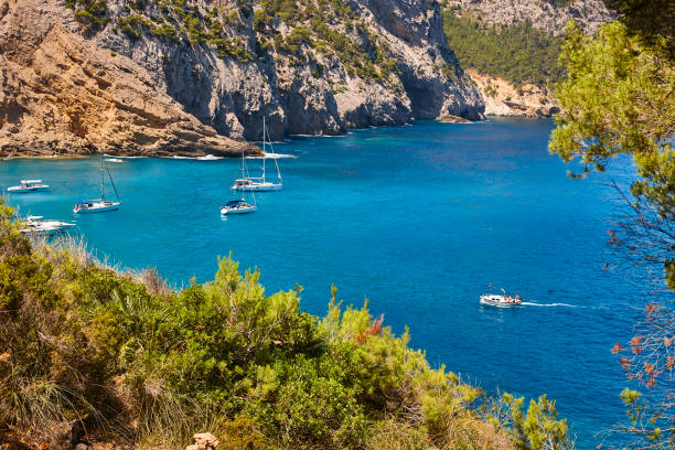 Turquoise waters in Mallorca. Coll Baix beach. Mediterranean coastline. Balearic Turquoise waters in Mallorca. Coll Baix beach. Mediterranean coastline. Spain 3610 stock pictures, royalty-free photos & images