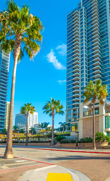istock Skyscrapers in downtown San Diego on a sunny day 1365575955