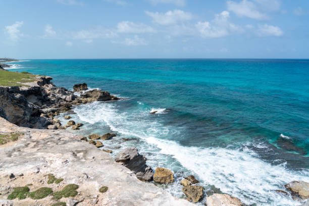 푼타 수르 - 멕시코 이슬라 무헤레스 최남단 지점. 카리브해의 바위가 있는 해변 - isla mujeres mexico beach color image 뉴스 사진 이미지