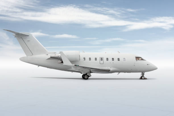 istock Modern white corporate business jet isolated on light background with sky 1365580183