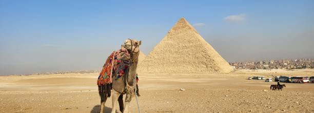 giza pyramid egypt camel ride - egypt camel pyramid shape pyramid imagens e fotografias de stock