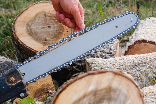 Checking and adjusting the chain tension of the chain saw. A worker checks the tension of the saw chain against a background of sawn logs.