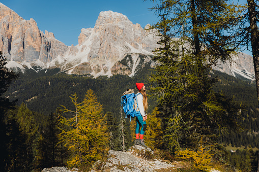 Young woman backpacker in red hat enjoying the hiking trip in the pine woods with her cute dog - pug breed in blue backpack, admiring the beautiful mountain peaks during sunny autumn day