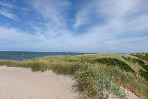 Untouched nothern european nature near the coast with typical dune and sand landscape with green dune grass, fine sand and blue sky, plenty of copy space