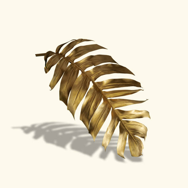 istock Golden tropical palm leaf Monstera on pastel luxury yellow-gray . Abstract pattern for design and space for text 1365583003