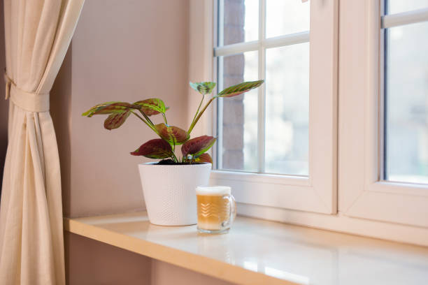 gros plan d’objets sur le rebord d’une fenêtre dans une pièce domestique - window sill photos et images de collection