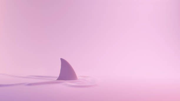 pinna di squalo della serie rosa sopra l'acqua - animal large cartoon fish foto e immagini stock