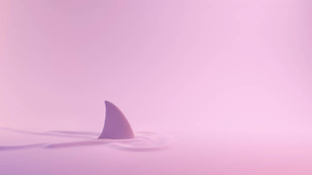 pink series shark fin above the water - haai fotos stockfoto's en -beelden
