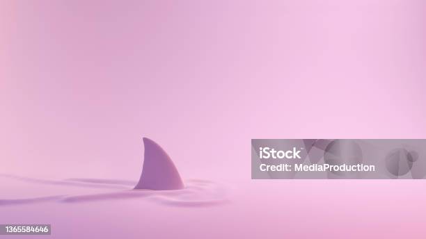 Pink Series Shark Fin Above The Water Stock Photo - Download Image Now - Danger, Risk, Three Dimensional