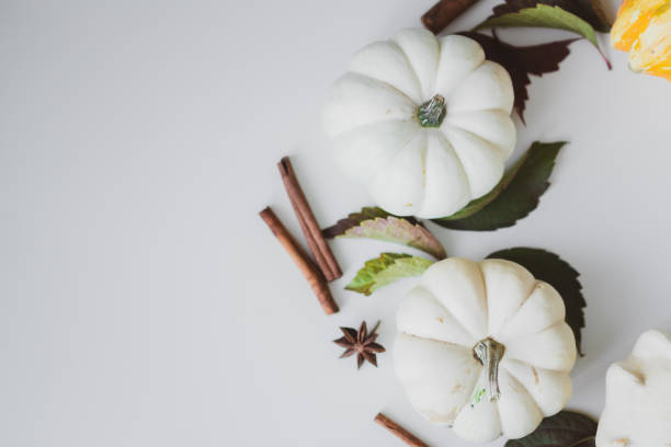 istock Background of small white and yellow pumpkins on the table. 1365584820
