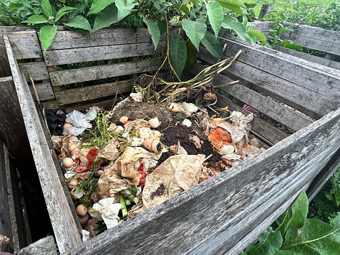 Horizontal high angle closeup photo of scraps of vegetables, eggshells, plants, paper and coffee grounds lying in a heap inside a container made from old weathered grey wood planks in an organic garden in Summer.