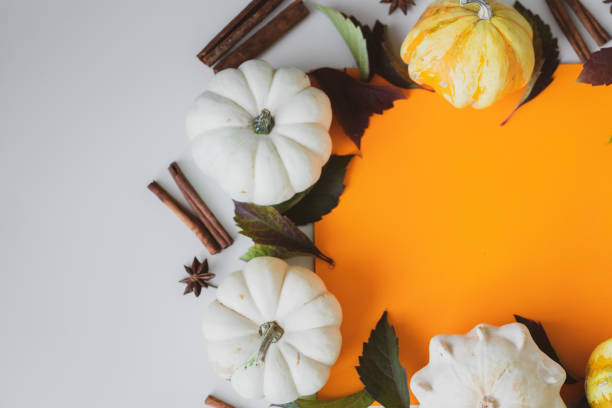 istock Background of small white and yellow pumpkins on the table. 1365584825