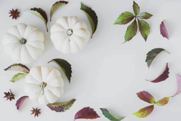 istock Background of small white and yellow pumpkins on the table. 1365584827