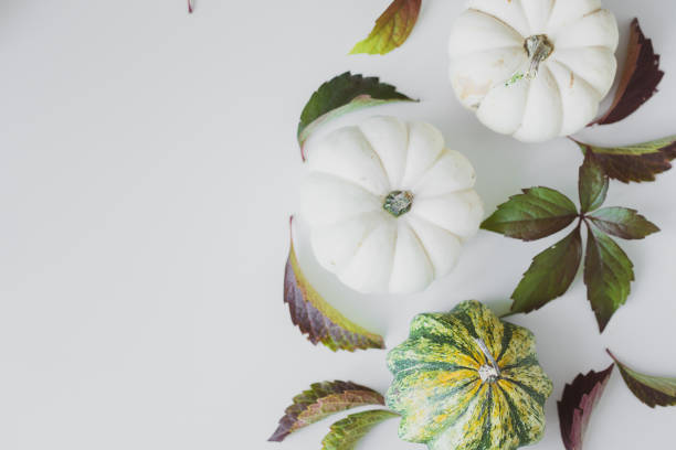 istock Background of small white and yellow pumpkins on the table. 1365584830
