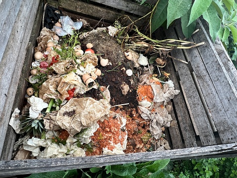 Horizontal high angle closeup photo of scraps of vegetables, eggshells, plants, paper and coffee grounds lying in a heap inside a container made from old weathered grey wood planks in an organic garden in Summer.