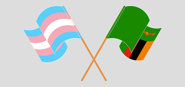 Crossed and waving flags of Transgender Pride and Zambia. Vector illustration