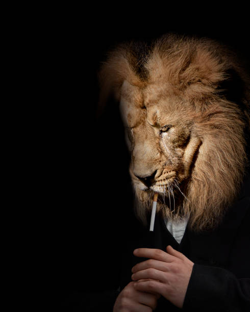 Man In The Form Of A Lion The Lion Person Animal Face Isolated Black White  Stock Photo - Download Image Now - iStock