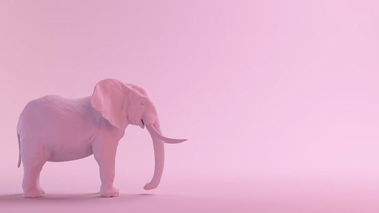 Pink Series African Elephant Side View
