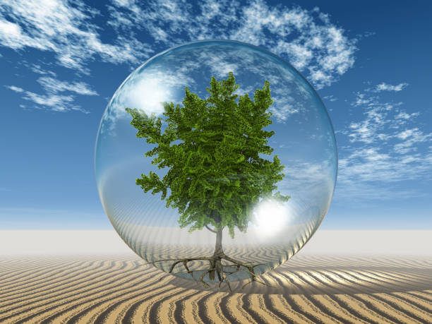 istock ginkgo  biloba in a bubble and Sky 1365596020