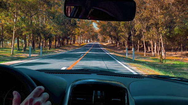 istock Wooden Highway Driver Point Of View 1365596186