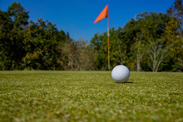 weißer golfball auf grünem platz, um auf der wunderschönen landschaft des golfplatzes geschossen zu werden - golf golf ball tee green stock-fotos und bilder