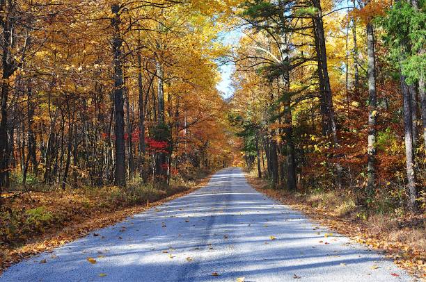 istock Rural road southern Indiana 1365597075