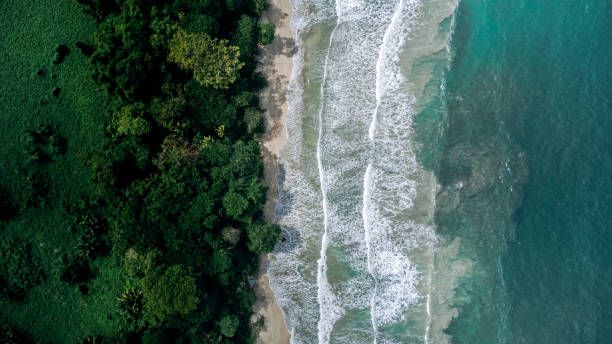 コスタリカの美しいビーチと熱帯雨林 - limon province ストックフォトと画像