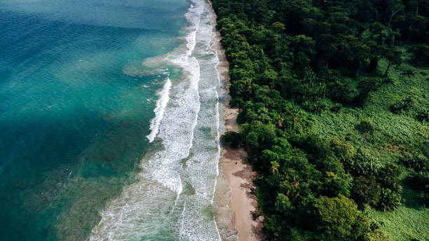 istock Costa Rica beautiful beaches and rainforest 1365597276