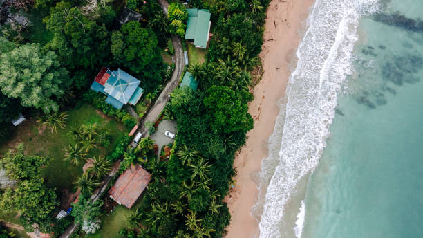 푼타 우바, 푸에르토 비에호, 코스타리카의 공중 보기 - costa rica beach palm tree tree 뉴스 사진 이미지