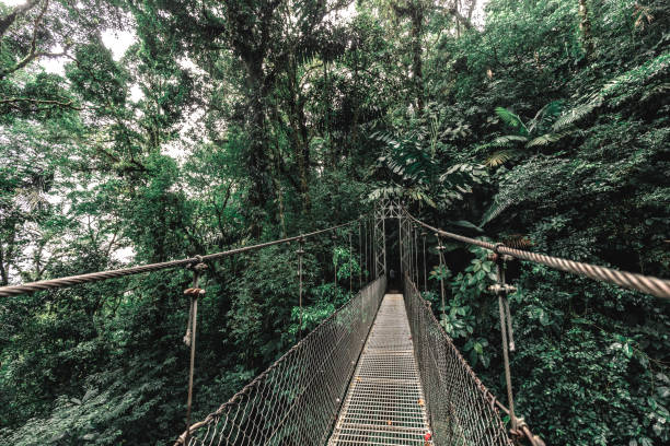 istock Arenal Hanging Bridge, Costa Rica 1365597448