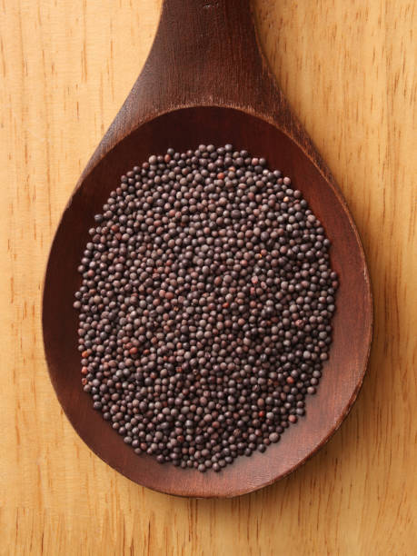 Black mustard seeds stock photo