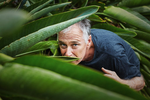 Handsome man in his 50s hides among the leaves of a large-leafed plant.