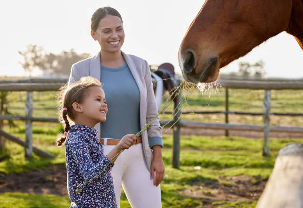 그녀의 어머니가 보이는 동안 그녀의 농장에서 말을 먹이 사랑스러운 어린 소녀의 샷 - horse child animal feeding 뉴스 사진 이미지