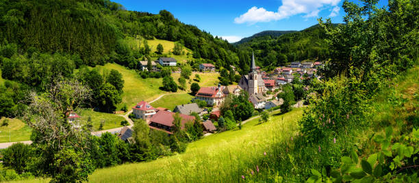 идиллическая немецкая деревня в зеленой долине - black forest forest sky blue стоковые фото и изображения