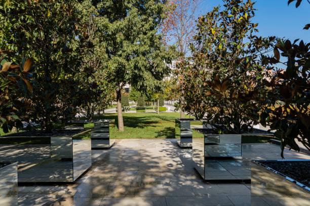 istock Evergreen Southern Magnolia (Magnolia Grandiflora)' in mirror container. Square mirror flower bed for evergreen Magnolia. Public landscape city park Krasnodar 'Galitsky park'. Sunny autumn 202 1365607089
