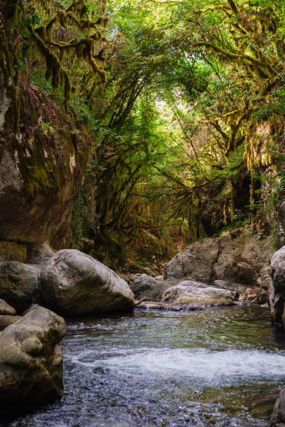 Stunning River Landscape with wild forest around, photo taken in Campania, Southern Italy