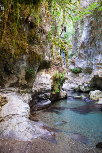istock Stunning River Landscape with wild forest around 1365608019