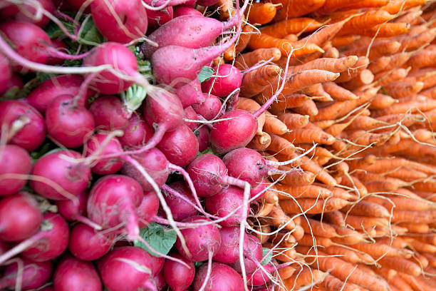 Fresh Vegetables stock photo