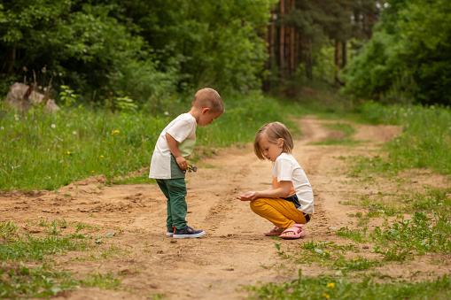 Little caucasian boy and girl play outdoors in the forest in summer