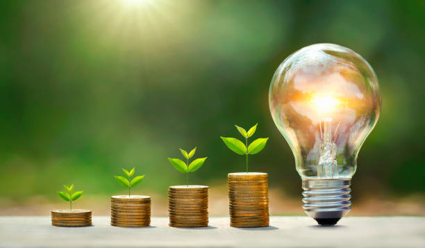 istock light bulb on wood with young plant growing on coins stack. saving power energy and save money 1365616382