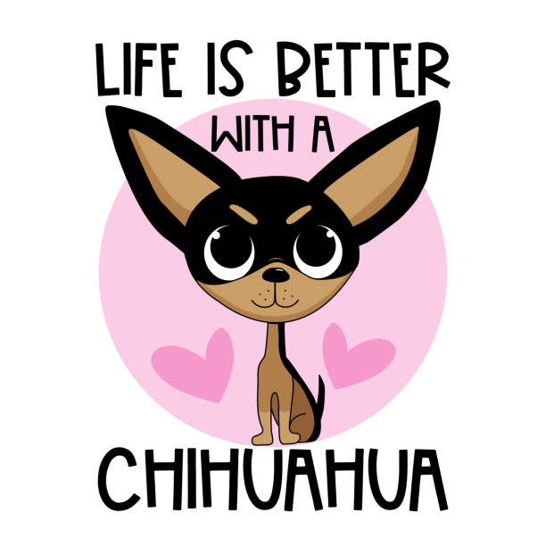 Life is better with a chihuahua - cute hand drawn puppy isolated on white backround Life is better with a chihuahua - cute hand drawn puppy isolated on white backround. Good for T hsirt print, poster, card, label and other decortion. work motivational quotes stock illustrations