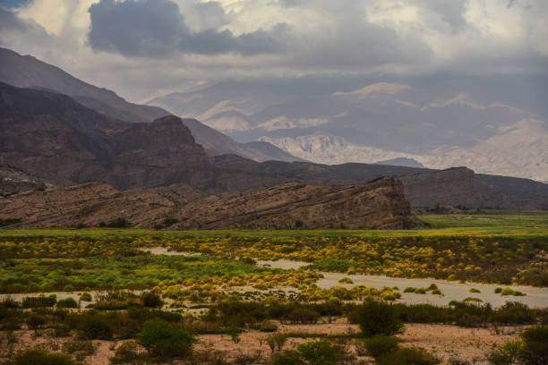 istock Dramatic altiplano landscape of Catamarca 1365618962