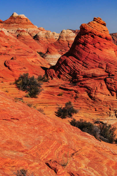 istock Sandstone teepees on the way to The Wave 1365621586