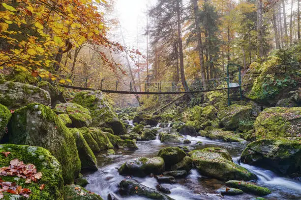 Wildbachklamm Buchberger Leite in autumn, suspension bridge, geotope, Ringelai, Freyung-Grafenau, Bavarian Forest