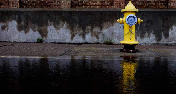 istock Yellow Fire Hydrant Reflected in Pool of Water Flood 1365626991