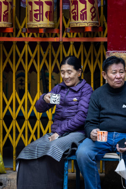Portrait of tibetan woman having tea stock photo
